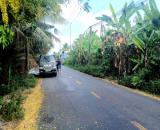 Vườn Dừa SUM SÊ Rộng hơn 5 Công Ngay MẶT TIỀN Huyện 28B. Bao Giá RẺ NHỨT TOÀN TỈNH.