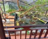 🌿 SIÊU PHẨM NHÀ VƯỜN NGHỈ DƯỠNG – 235m² – NGANG 16.9M HIẾM