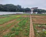 ĐẤT NỀN HÒA LẠC - ĐOÀI PHƯƠNG - 100M - GIÁ ĐẦU TƯ - SINH LỜI CAO.