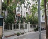 Bán Biệt thự Mặt phố Hòe Nhai Ba Đình Lô góc 2 mặt đường Ô tô Vỉa hè Kinh doanh 145 tỷ