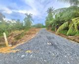 ✅️1,1 TỶ✅️_797M2 FULL THỔ PHƯỚC AN ĐƯỜNG 6M GẦN KCN HIỆP THẠNH