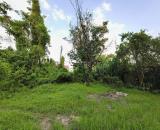 Đất thổ cư Tu Lễ, Kim Đường, 190m2, MT7.5m, nở hậu, 2 thoáng, 2 tỷ Ứng Hòa