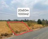 CHÍNH CHỦ BÁN 1000m2 ĐẤT THỔ CƯ – GIÁ TỐT TẠI LONG AN