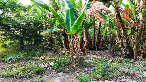 Bán đất góc 3 mặt tiền 1 sẹc đường Quốc lộ 1K sổ hồng 604m2 thổ cư giá 14 tỷ - 5