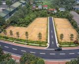 Cơ hội đầu tư đất Phú Cát Hòa Lạc diện tích 101m2 đường 10m vị trí kinh doanh số 1.