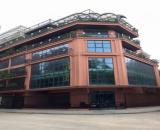 Cho thuê nhà, Đội Cấn, Giang Văn Minh, Đốc Ngữ, THANG MÁY; 135m2* 5T