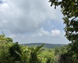 TÌM HÀNG XÓM VỀ CHILL CÙNG VIEW THUNG LŨNG SÁT QL20 – CHƯA ĐẾN 1 TỶ SỞ HỮU QUỸ ĐẤT SẠCH