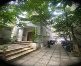 Cực Rẻ & Hiếm - Nhà & Đất đẹp Oto 5 chỗ qua nhà/Diện tích to/Mặt tiền đẳng cấp