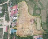 1,1ha Đất Tại TDP THANH LỘC – XUÂN HÒA