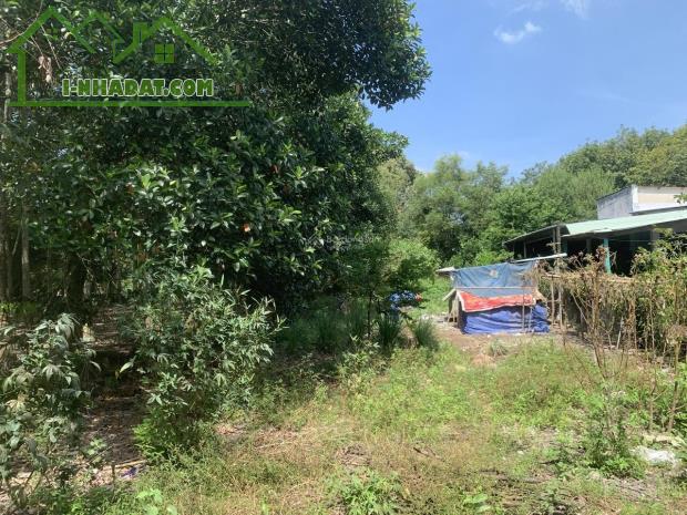 CHÍNH CHỦ BÁN ĐẤT 554m² – LONG NGUYÊN (HỒ CHÍ MINH MỚI) – GIÁ TỐT