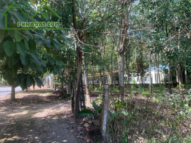 CHÍNH CHỦ BÁN ĐẤT 554m² – LONG NGUYÊN (HỒ CHÍ MINH MỚI) – GIÁ TỐT - 1