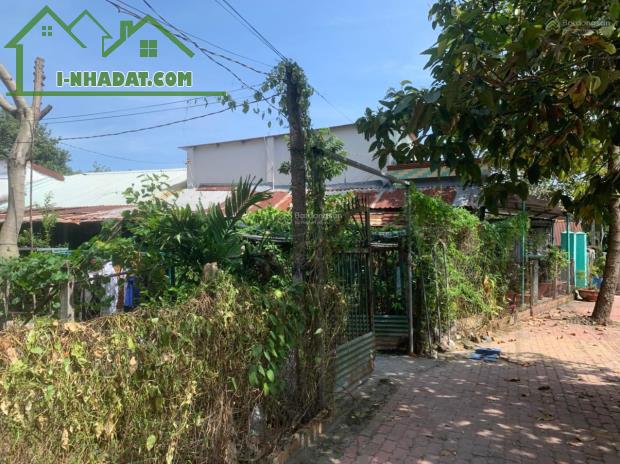 CHÍNH CHỦ BÁN ĐẤT 554m² – LONG NGUYÊN (HỒ CHÍ MINH MỚI) – GIÁ TỐT - 2