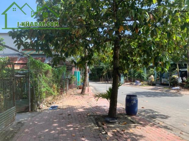 CHÍNH CHỦ BÁN ĐẤT 554m² – LONG NGUYÊN (HỒ CHÍ MINH MỚI) – GIÁ TỐT - 3