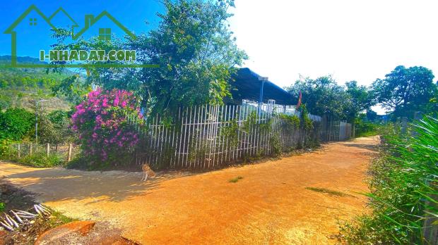 Gần 1,7 sào hẻm ql27, liên hiệp, đức trọng cũ, lâm đồng - 3