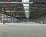CHO THUÊ NHÀ XƯỞNG 22.000m² trong khu công nghiệp tại Hải Dương