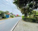 MẶT TIỀN KINH DOANH NGUYỄN THỊ RÀNH CŨ CHI --803M2--100M THỔ CƯ --GIÁ CHỈ :16 TỶ (TL)