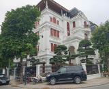 VP Bank phát mại biệt thự Lô Góc An Vượng Villa gần siêu thị AEON Mall 300m2 chỉ 4x tỷ.