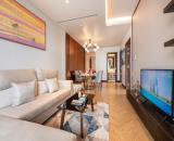 Quỹ căn đặt biệt giá đầu tư và vận hành, chiết khấu 13,5%, nội thất mới Wyndham Soleil ĐN