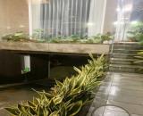 Cho thuê nhà đường số 19, Bình Tân khu Tên Lửa, 9x20m, hầm, 50tr