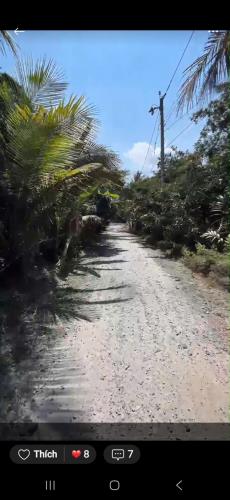 Bán Gần 2 công Vườn Dừa, Gần Chợ Vĩnh Kim. Giá SIÊU NGỘP: 930 triệu. - 4