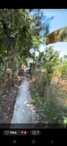 Bán Gần 2 công Vườn Dừa, Gần Chợ Vĩnh Kim. Giá SIÊU NGỘP: 930 triệu. - 3