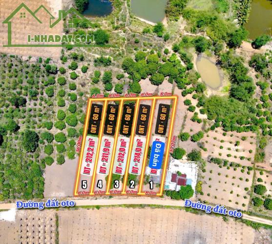 Cơ hội sở hữu đất Lâm Hà Lâm Đồng với giá chỉ từ 299 tr