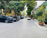 Biệt thự mini Vạn Bảo, Ba Đình, ô tô tránh, gỗ Hương, nở hậu, không gian xanh, 80m, 24 tỷ