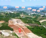 Cơ hội sở hữu đất Lâm Hà Lâm Đồng với giá chỉ từ 299 tr