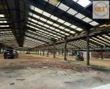 Cho thuê nhà xưởng – Bắc Tân Uyên, Bình Dương – 37.000m²