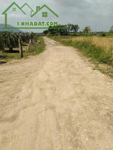 Bán Đất Nông Nghiệp Diện Tích Lớn Gần 10ha Tại Tân Lập – Hàm Thuận Nam - 1