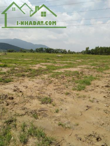 Bán Đất Nông Nghiệp Diện Tích Lớn Gần 10ha Tại Tân Lập – Hàm Thuận Nam - 3