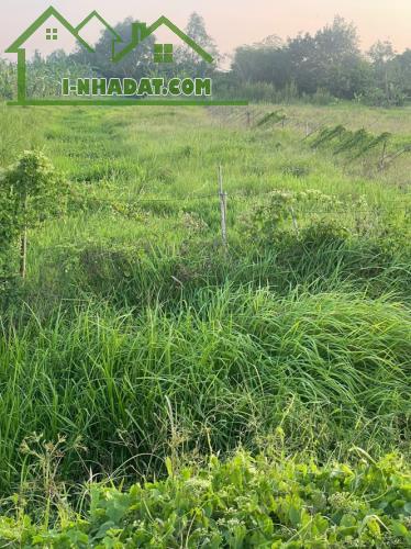 BÁN 3000M2 (15x200) - ĐẤT CÁI RĂNG, TP Cần Thơ - LỘ 91C 40m đang thi công - VIEW Sông - 1
