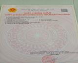 ĐẤT ĐẸP – GIÁ TỐT – CHÍNH CHỦ CẦN BÁN ĐẤT Xã Hộ Hải, Huyện Ninh Hải, Tỉnh Ninh Thuận