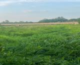 BÁN 3000M2 (15x200) - ĐẤT CÁI RĂNG, TP Cần Thơ - LỘ 91C 40m đang thi công - VIEW Sông