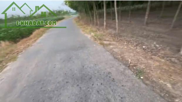 ht Cần bán nhanh 2,5 tỷ đất tại Thạnh Lộc Tân Biên tỉnh Tây Ninh - 2