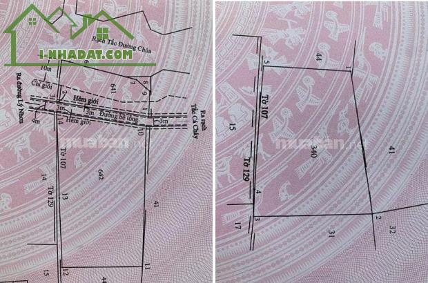 ĐẤT ĐẸP – GIÁ TỐT – CHÍNH CHỦ CẦN BÁN LÔ ĐẤT LIỀN KỀ ( ĐẤT AO) Xã An Thới Đông, Cần Giờ, - 1