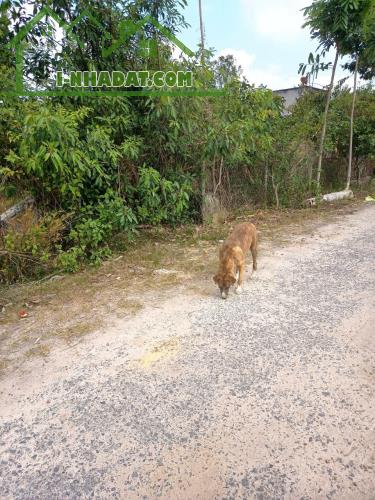 BÁN ĐẤT TÂY NINH – VỊ TRÍ ĐẸP – ĐƯỜNG NHỰA 6M – GIÁ TỐT - 2