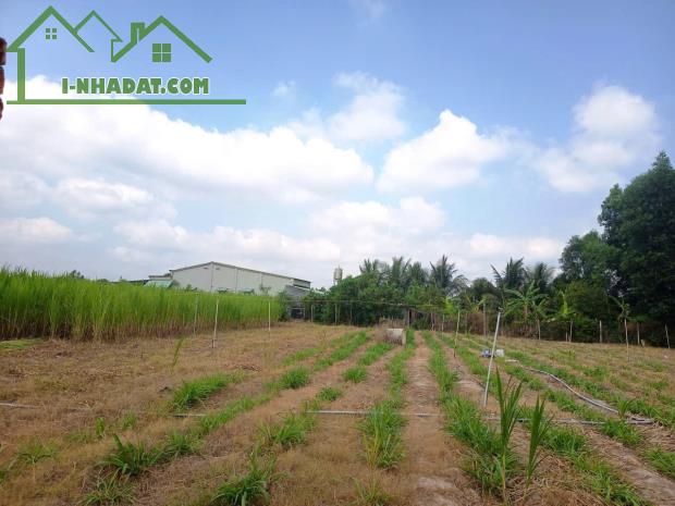BÁN ĐẤT TÂY NINH – VỊ TRÍ ĐẸP – ĐƯỜNG NHỰA 6M – GIÁ TỐT - 3