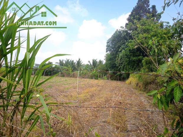 BÁN ĐẤT TÂY NINH – VỊ TRÍ ĐẸP – ĐƯỜNG NHỰA 6M – GIÁ TỐT - 4