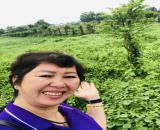 🏡 ĐẤT ĐẸP CỦ CHI - KHU PHÂN LÔ - QUY HOẠCH CHÍNH CHỦ - GIÁ NGỘP😍