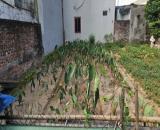 Bán đất Vạn Phúc 3 Thanh Trì 78m nhỉnh 5 tỉ, đường ô tô vào tận đất.