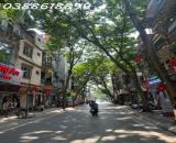🏠 MẶT PHỐ TRẦN QUỐC HOÀN - ĐOẠN ĐẸP NHẤT PHỐ - KINH DOANH SẦM UẤT - 2 MẶT THOÁNG TRƯỚC