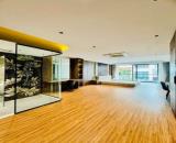 PHÂN LÔ PHỐ ĐỖ QUANG- VỊ TRÍ ĐẸP- NGÕ THÔNG- Ô TÔ TRÁNH- 67M- 7 TẦNG THANG MÁY.