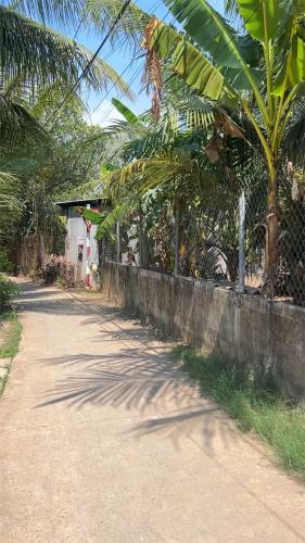 CHÍNH CHỦ Cần Bán 2 LÔ LIỀN KỀ Tại Ấp Thới Thạnh Xã Thới Sơn Thành Phố Mỹ Tho Tỉnh Tiền - 2