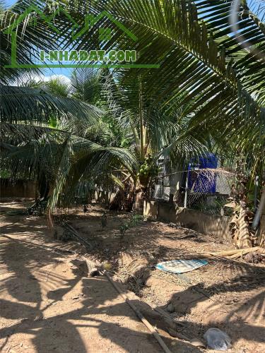 CHÍNH CHỦ Cần Bán 2 LÔ LIỀN KỀ Tại Ấp Thới Thạnh Xã Thới Sơn Thành Phố Mỹ Tho Tỉnh Tiền - 3