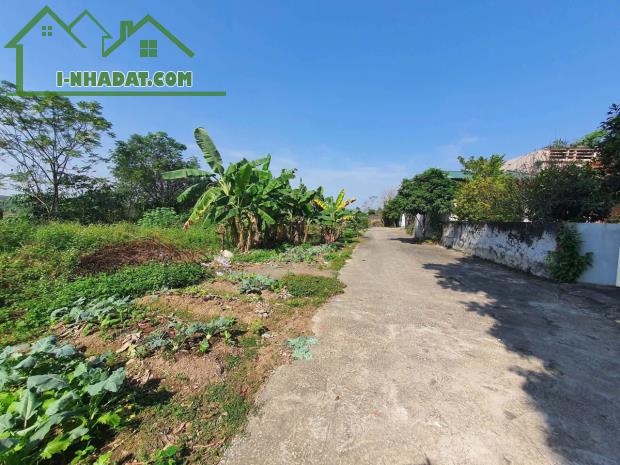 Em thật tâm muốn gả ô đất cho anh chị nào cùng gu. Gia đình cần bán nhanh mảnh đất rộng 11 - 1