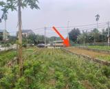 Anh trai em làm ăn kinh doanh đầu năm thua lỗ nhờ em đăng bán 100m2 bám trục chính đường