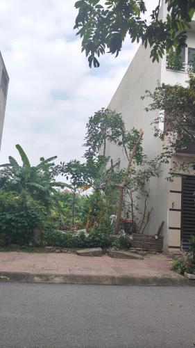 Bán đất khu Đồng Hóc Thân, Đồng Tâm, Vĩnh Yên, Vĩnh Phúc - 1