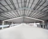 BR. Cho Thuê Xưởng Sx Trong Kcn châu đức phú mỹ - 5700m2