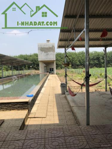 BÁN GẤP ĐẤT CHÍNH CHỦ GIÁ NGỘP TRẢ NỢ & XUỐNG SÀI GÒN Xã Thạnh Bình, Huyện Tân Biên, Tây - 2